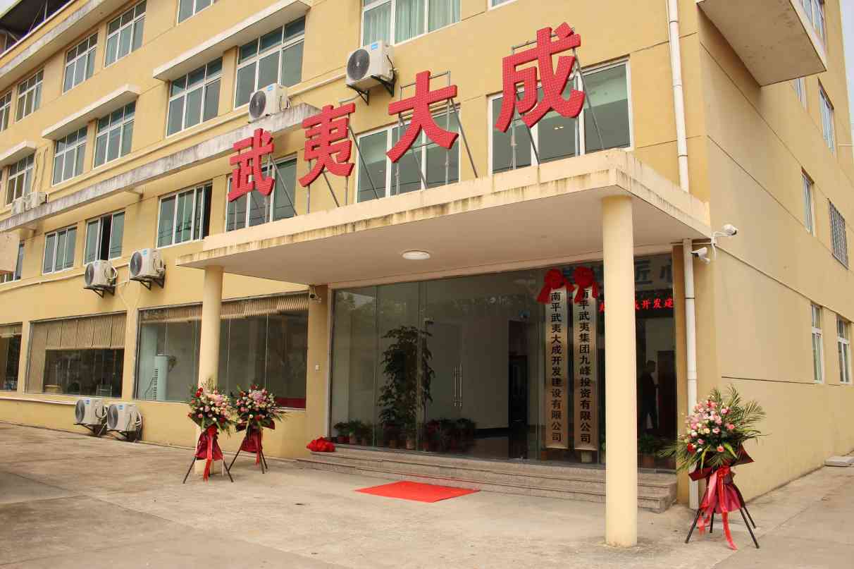 南平武夷大成开发建设有限公司举行揭牌仪式(图1)
