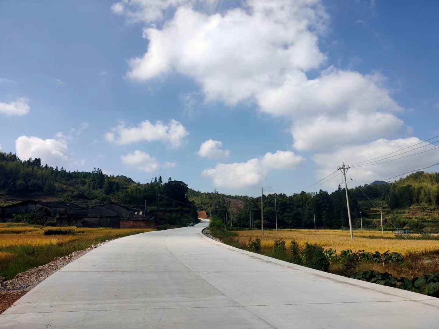 屏南县寿山白玉经岭下至东峰公路…(图2) 屏南县寿山白玉经岭下至东峰公路…(图2)