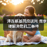 泽连斯基回应谈判 普京提解决危机三条件(图3) 泽连斯基回应谈判 普京提解决危机三条件(图3)