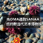 当OMA遇到SANAA:纽约新当代艺术博物馆扩建完成(图1) 当OMA遇到SANAA:纽约新当代艺术博物馆扩建完成(图1)