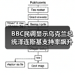 BBC民调显示乌克兰总统泽连斯基支持率飙升至90%以上(图4) BBC民调显示乌克兰总统泽连斯基支持率飙升至90%以上(图4)