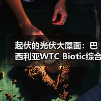 起伏的光伏大屋面：巴西利亚WTC Biotic综合体在建方案（图4）