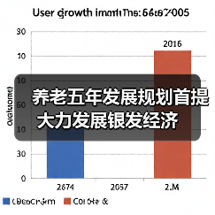 养老五年发展规划首提大力发展银发经济(图4) 养老五年发展规划首提大力发展银发经济(图4)