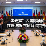 “黑天鹅”令国际油价狂野波动 布油试探百元大关(图3) “黑天鹅”令国际油价狂野波动 布油试探百元大关(图3)