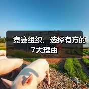 竞赛组织，选择有方的7大理由（图4）