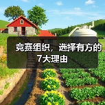 竞赛组织，选择有方的7大理由（图2）