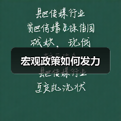 宏观政策如何发力(图4) 宏观政策如何发力(图4)