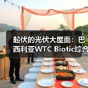 起伏的光伏大屋面:巴西利亚WTC Biotic综合体在建方案(图4) 起伏的光伏大屋面:巴西利亚WTC Biotic综合体在建方案(图4)