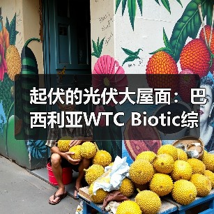 起伏的光伏大屋面:巴西利亚WTC Biotic综合体在建方案(图4) 起伏的光伏大屋面:巴西利亚WTC Biotic综合体在建方案(图4)