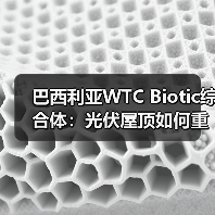 巴西利亚WTC Biotic综合体:光伏屋顶如何重塑未来城市?(图4) 巴西利亚WTC Biotic综合体:光伏屋顶如何重塑未来城市?(图4)