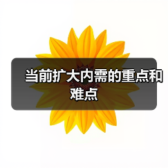 当前扩大内需的重点和难点(图3) 当前扩大内需的重点和难点(图3)
