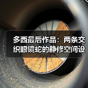 多西最后作品:两条交织眼镜蛇的静修空间设计(图4) 多西最后作品:两条交织眼镜蛇的静修空间设计(图4)
