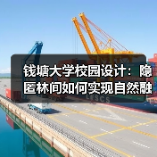 钱塘大学校园设计:隐匿林间如何实现自然融合与未来科研(图4) 钱塘大学校园设计:隐匿林间如何实现自然融合与未来科研(图4)