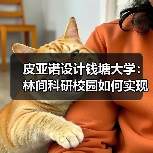 皮亚诺设计钱塘大学:林间科研校园如何实现自然融合?(图1) 皮亚诺设计钱塘大学:林间科研校园如何实现自然融合?(图1)