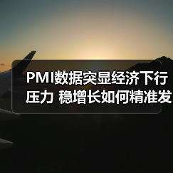 PMI数据突显经济下行压力 稳增长如何精准发力?(图3) PMI数据突显经济下行压力 稳增长如何精准发力?(图3)