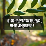 中国经济转型难点多,未来如何破局?(图4) 中国经济转型难点多,未来如何破局?(图4)