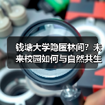 钱塘大学隐匿林间?未来校园如何与自然共生(图1) 钱塘大学隐匿林间?未来校园如何与自然共生(图1)