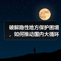 破解隐性地方保护困境,如何推动国内大循环畅通?(图3) 破解隐性地方保护困境,如何推动国内大循环畅通?(图3)