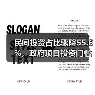 民间投资占比骤降55.6%,政府项目投资门槛如何突破?(图3) 民间投资占比骤降55.6%,政府项目投资门槛如何突破?(图3)