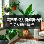 竞赛组织为何值得选择？7大理由解析（图1）