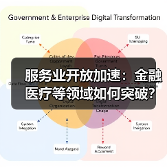服务业开放加速:金融医疗等领域如何突破?(图2) 服务业开放加速:金融医疗等领域如何突破?(图2)