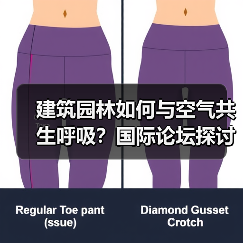 建筑园林如何与空气共生呼吸?国际论坛探讨新设计思维(图2) 建筑园林如何与空气共生呼吸?国际论坛探讨新设计思维(图2)