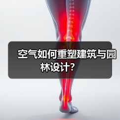 空气如何重塑建筑与园林设计？（图3）