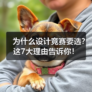 为什么设计竞赛要选？这7大理由告诉你！（图4）