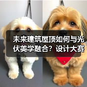 未来建筑屋顶如何与光伏美学融合？设计大赛开启绿色建筑新纪元（图3）