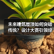 未来建筑屋顶如何突破传统？设计大赛引领绿色变革（图4）