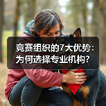 竞赛组织的7大优势:为何选择专业机构?(图2) 竞赛组织的7大优势:为何选择专业机构?(图2)