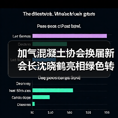 加气混凝土协会换届新会长沈晓鹤亮相绿色转型之路(图3) 加气混凝土协会换届新会长沈晓鹤亮相绿色转型之路(图3)