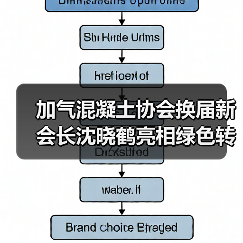 加气混凝土协会换届新会长沈晓鹤亮相绿色转型之路(图4) 加气混凝土协会换届新会长沈晓鹤亮相绿色转型之路(图4)