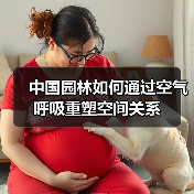 中国园林如何通过空气呼吸重塑空间关系(图3) 中国园林如何通过空气呼吸重塑空间关系(图3)