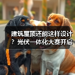 建筑屋顶还能这样设计？光伏一体化大赛开启绿色建筑新可能（图2）