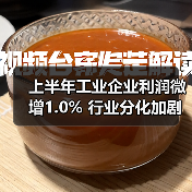 上半年工业企业利润微增1.0% 行业分化加剧(图3) 上半年工业企业利润微增1.0% 行业分化加剧(图3)
