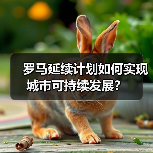 罗马延续计划如何实现城市可持续发展?(图2) 罗马延续计划如何实现城市可持续发展?(图2)