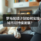 罗马延续计划如何实现城市可持续发展?(图3) 罗马延续计划如何实现城市可持续发展?(图3)