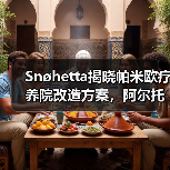 Snøhetta揭晓帕米欧疗养院改造方案,阿尔托经典焕新升级(图2) Snøhetta揭晓帕米欧疗养院改造方案,阿尔托经典焕新升级(图2)