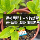 活动回顾丨未来智慧营造-巨变·流变·嬗变未来式众谈:30后未来学组2026上半年度大会暨2025WA中国建筑奖颁奖仪式(图4) 活动回顾丨未来智慧营造-巨变·流变·嬗变未来式众谈:30后未来学组2026上半年度大会暨2025WA中国建筑奖颁奖仪式(图4)