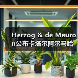 Herzog & de Meuron公布卡塔尔阿尔马哈岛总体规划(图2) Herzog & de Meuron公布卡塔尔阿尔马哈岛总体规划(图2)