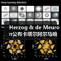 Herzog & de Meuron公布卡塔尔阿尔马哈岛总体规划(图2) Herzog & de Meuron公布卡塔尔阿尔马哈岛总体规划(图2)