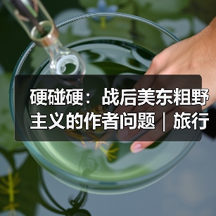 硬碰硬:战后美东粗野主义的作者问题|旅行讲堂17介绍(图3) 硬碰硬:战后美东粗野主义的作者问题|旅行讲堂17介绍(图3)