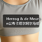 Herzog & de Meuron公布卡塔尔阿尔马哈岛总体规划(图3) Herzog & de Meuron公布卡塔尔阿尔马哈岛总体规划(图3)