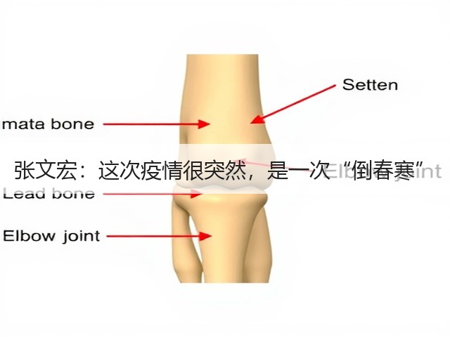 张文宏:这次疫情很突然,是一次“倒春寒”(图1) 张文宏:这次疫情很突然,是一次“倒春寒”(图1)
