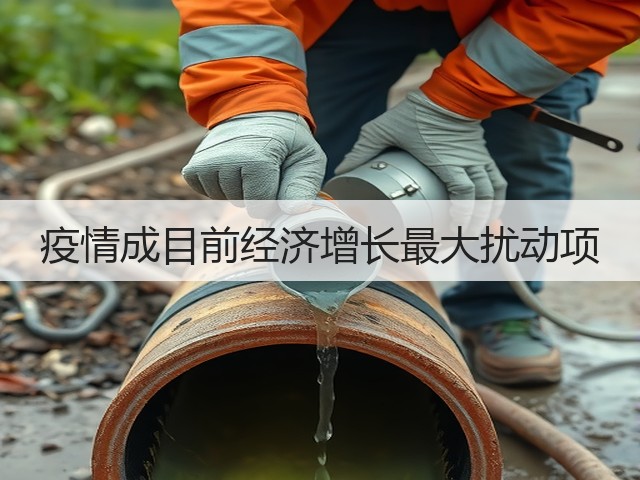 疫情成目前经济增长最大扰动项(图2)