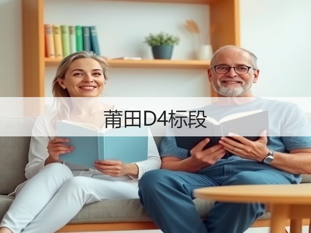 莆田D4标段(图3)