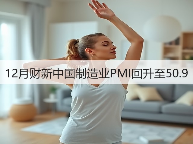 12月财新中国制造业PMI回升至50.9(图3) 12月财新中国制造业PMI回升至50.9(图3)