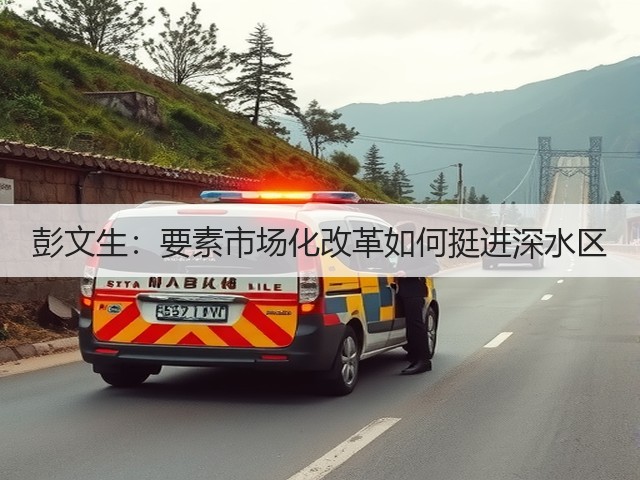 彭文生:要素市场化改革如何挺进深水区(图2) 彭文生:要素市场化改革如何挺进深水区(图2)