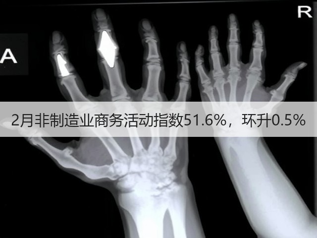 2月非制造业商务活动指数51.6%,环升0.5%(图3) 2月非制造业商务活动指数51.6%,环升0.5%(图3)